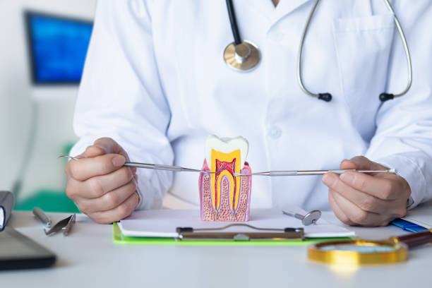 Best Emergency Cosmetic Dentistry in Owings Mills, MD